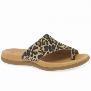 Beige Leopard Gabor Lanzarote Printed Toe Loop Women Mules | TKCV-74160