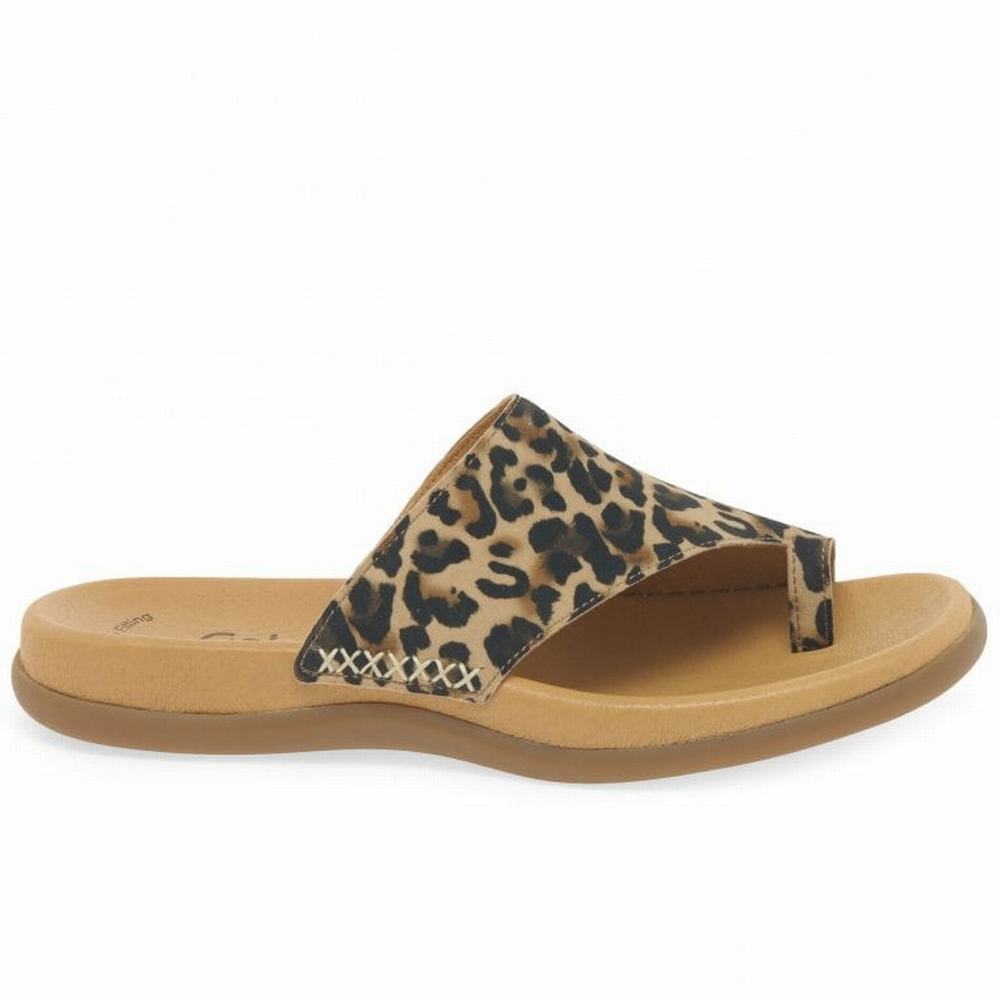 Beige Leopard Gabor Lanzarote Printed Toe Loop Women Mules | TKCV-74160