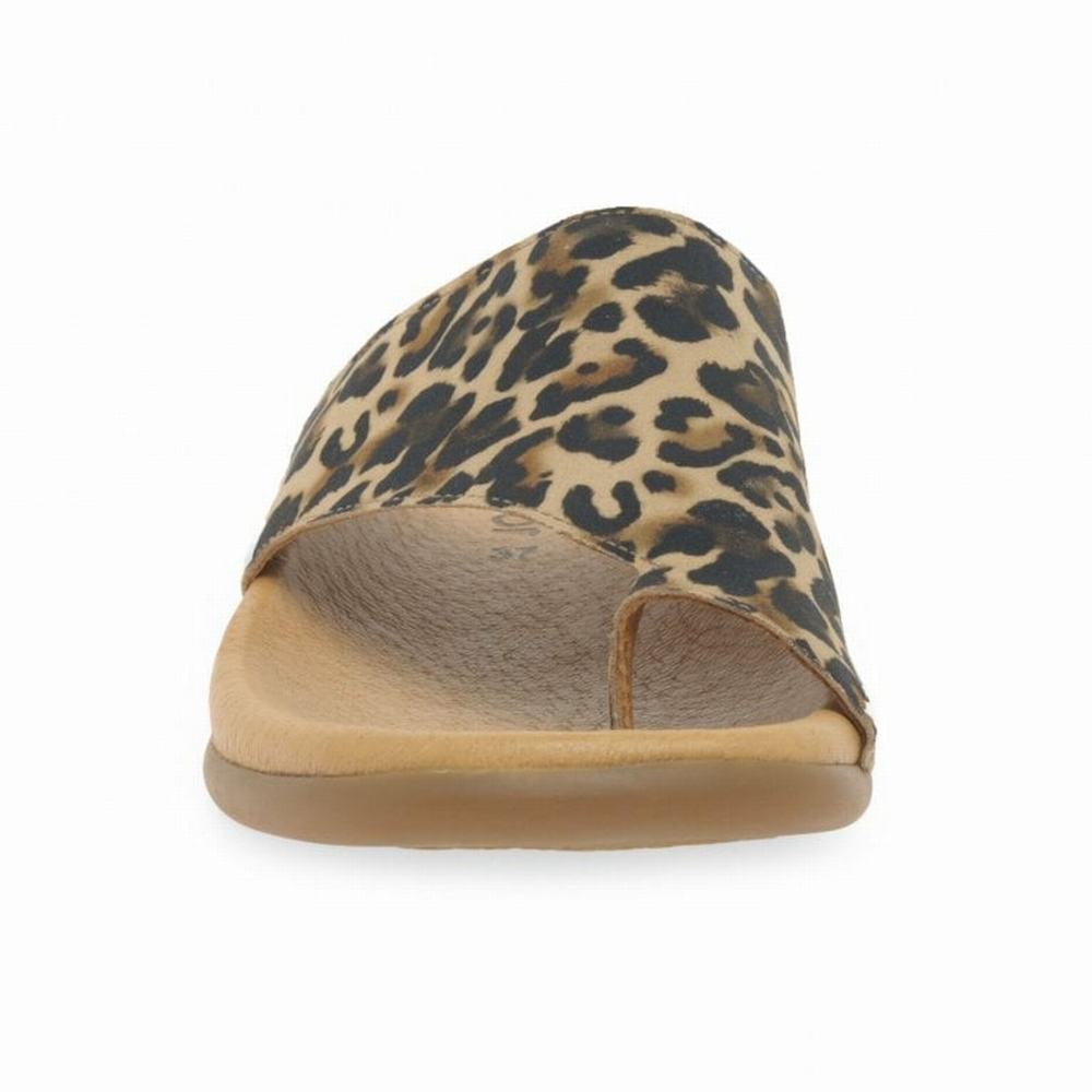 Beige Leopard Gabor Lanzarote Printed Toe Loop Women Mules | TKCV-74160