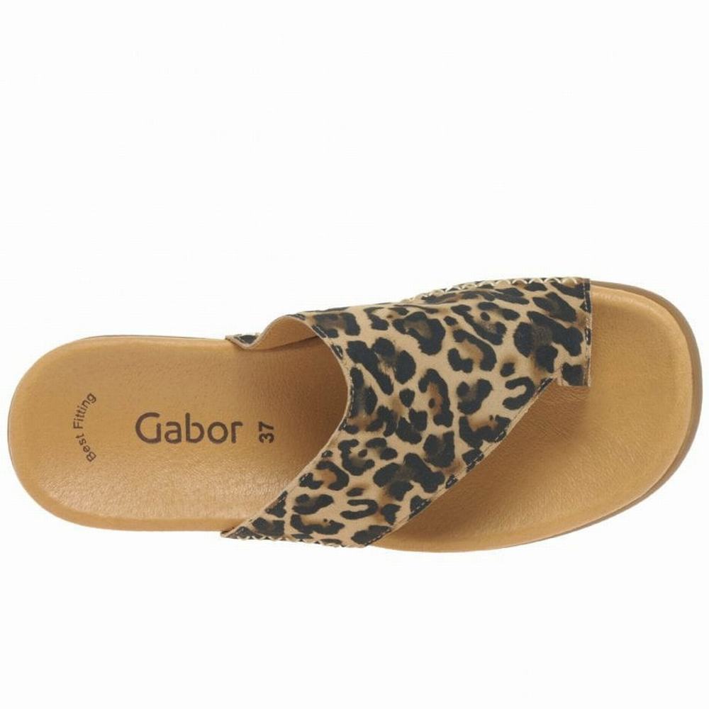 Beige Leopard Gabor Lanzarote Printed Toe Loop Women Mules | TKCV-74160