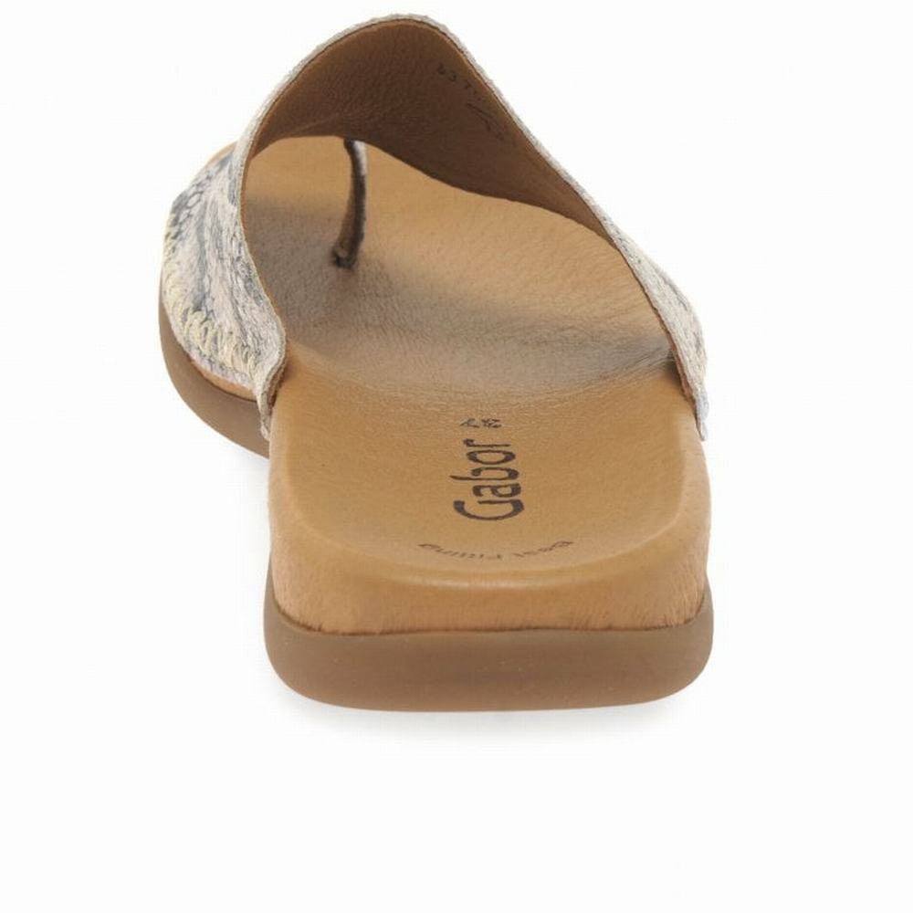 Beige Snake Gabor Lanzarote Printed Toe Loop Women Mules | KTJP-05867