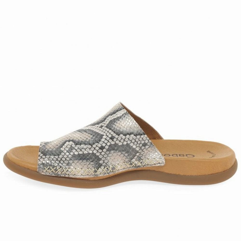 Beige Snake Gabor Lanzarote Printed Toe Loop Women Mules | KTJP-05867