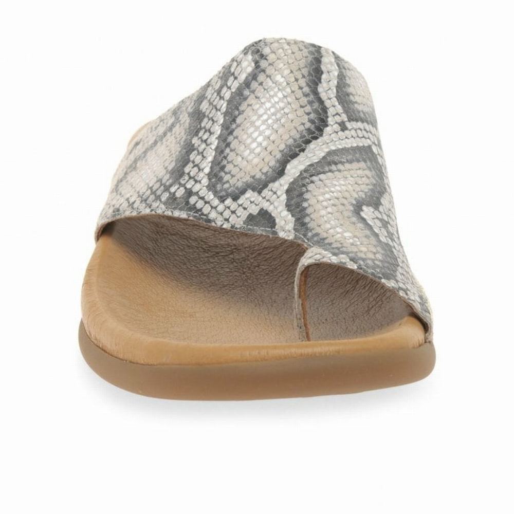 Beige Snake Gabor Lanzarote Printed Toe Loop Women Mules | KTJP-05867