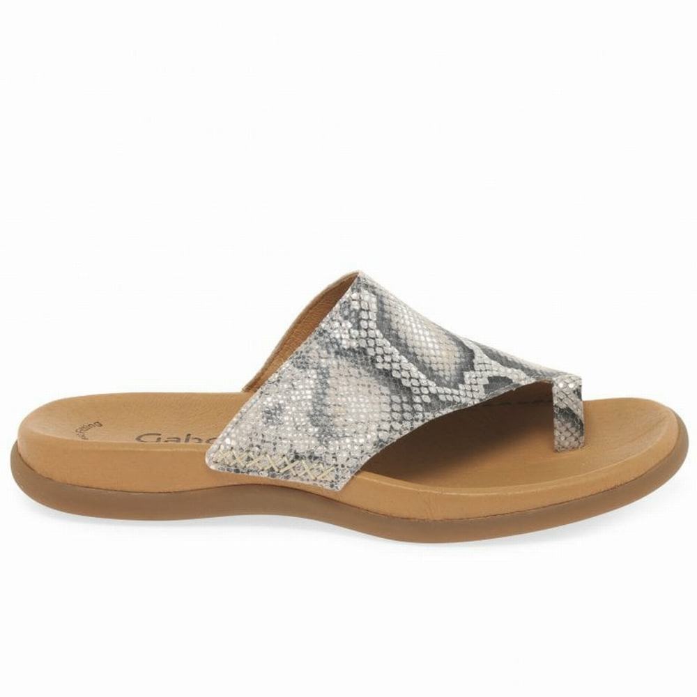 Beige Snake Gabor Lanzarote Printed Toe Loop Women Mules | KTJP-05867