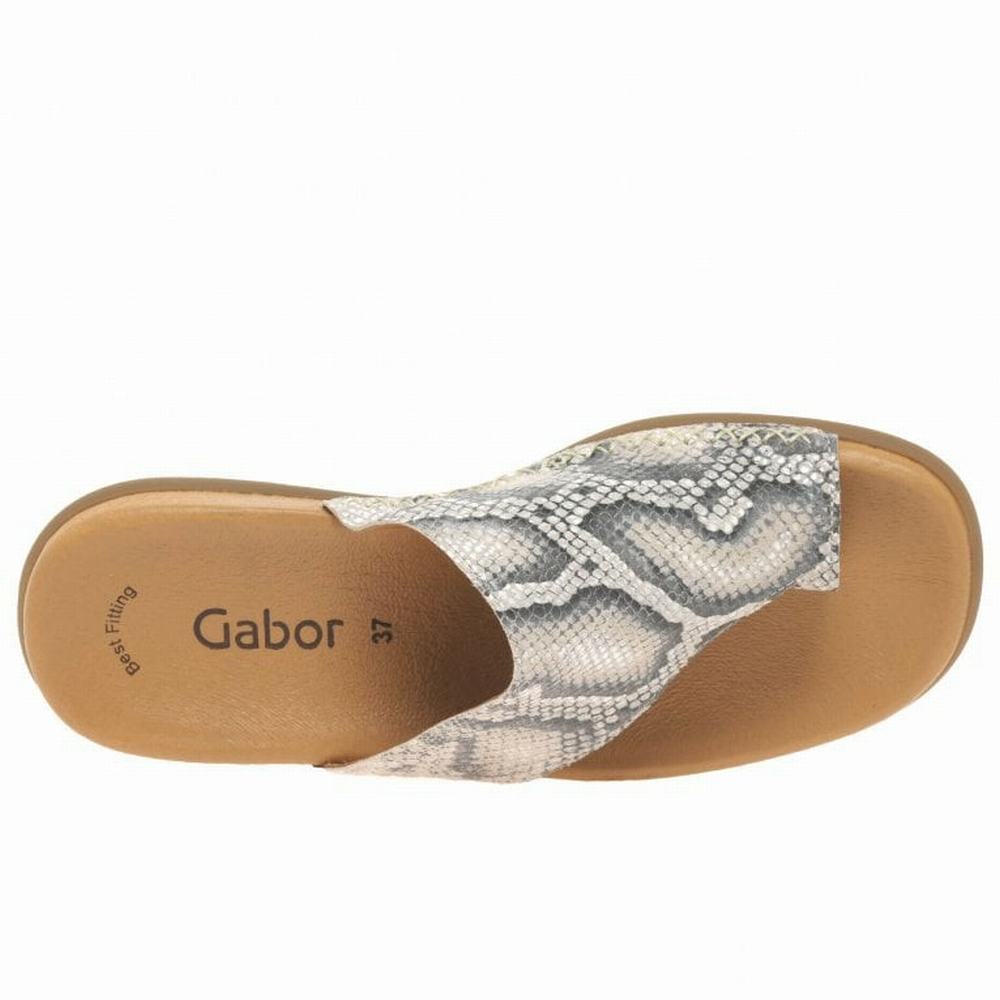 Beige Snake Gabor Lanzarote Printed Toe Loop Women Mules | KTJP-05867