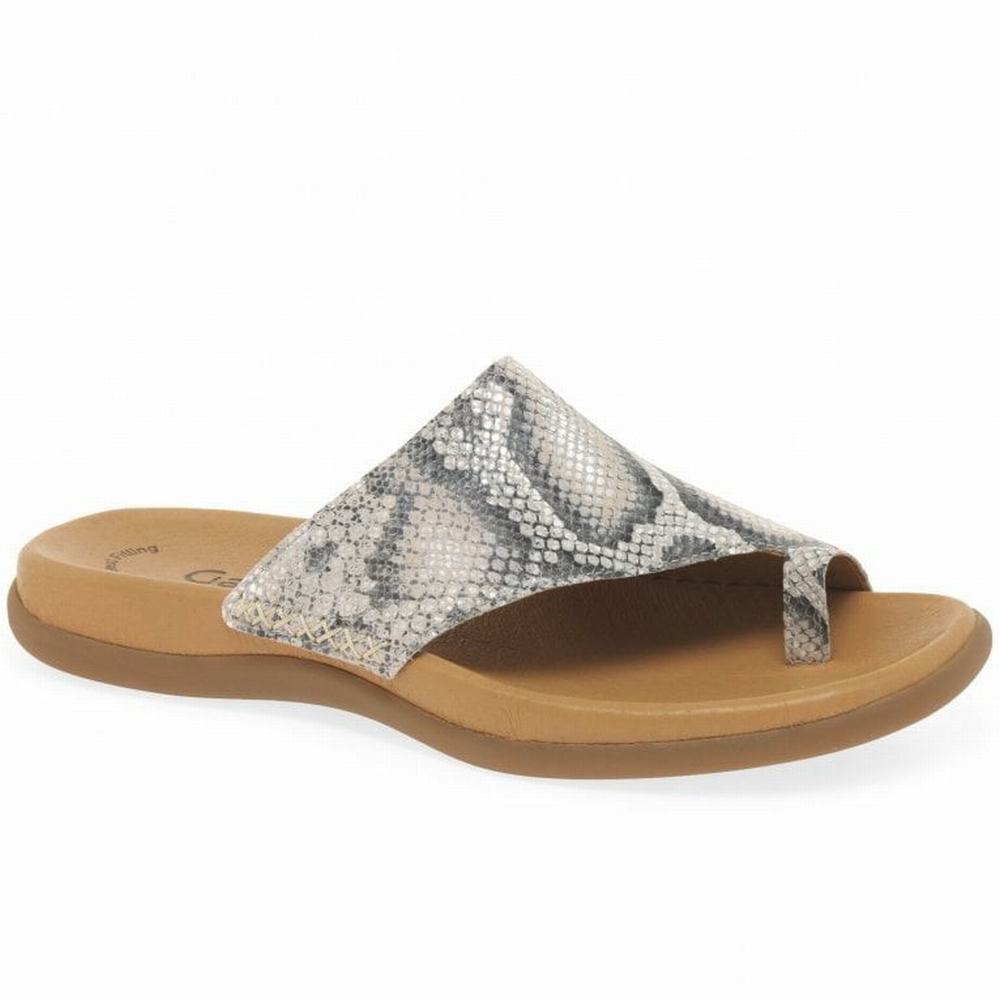 Beige Snake Gabor Lanzarote Printed Toe Loop Women Mules | KTJP-05867