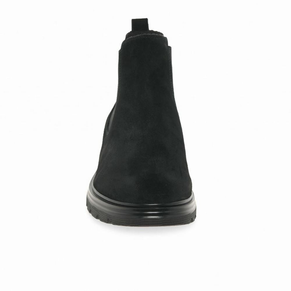 Black Gabor Babel Women Chelsea Boots | YDSC-89175