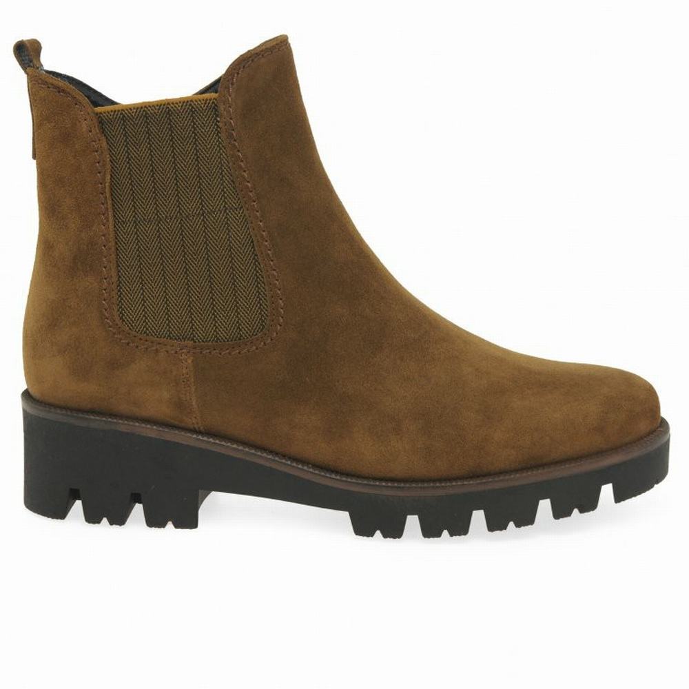 Brown Gabor Newport Women Chelsea Boots | SNQK-17280