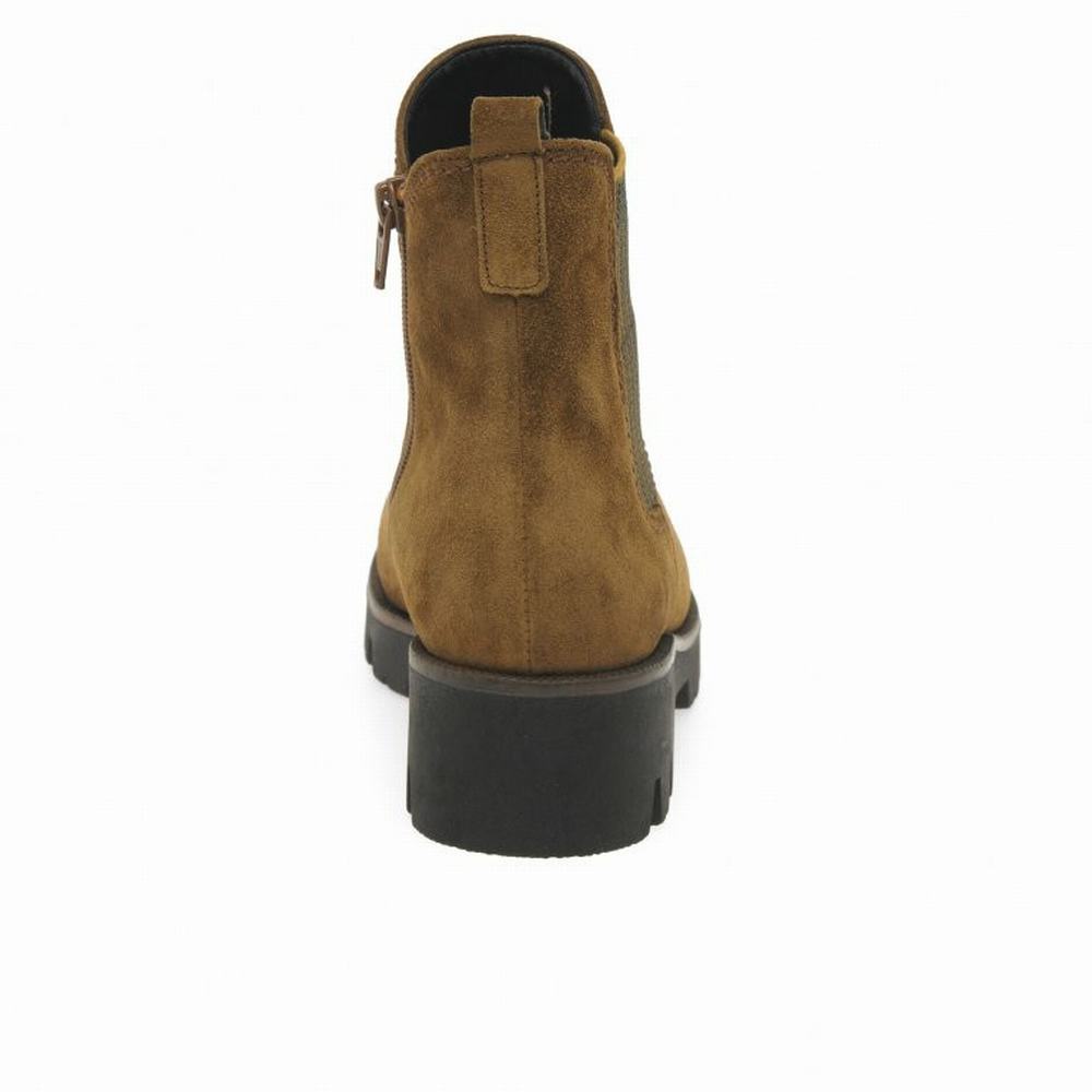 Brown Gabor Newport Women Chelsea Boots | SNQK-17280