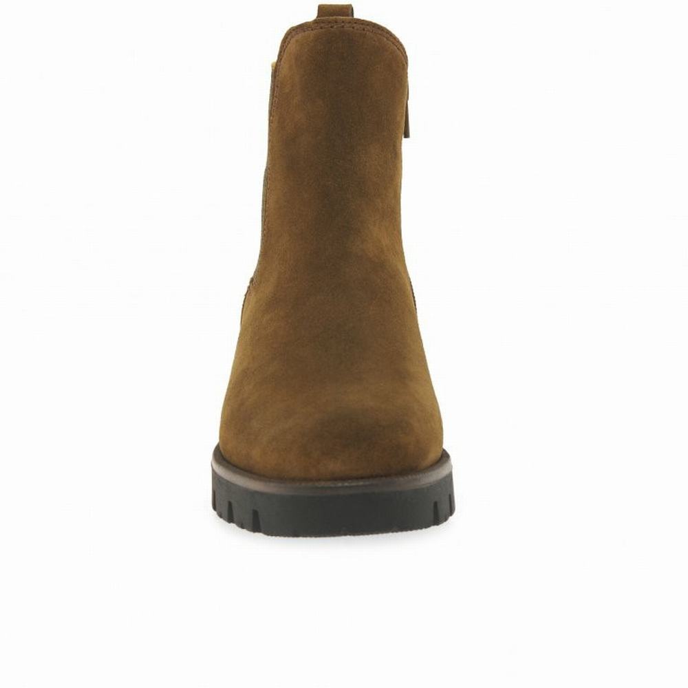 Brown Gabor Newport Women Chelsea Boots | SNQK-17280