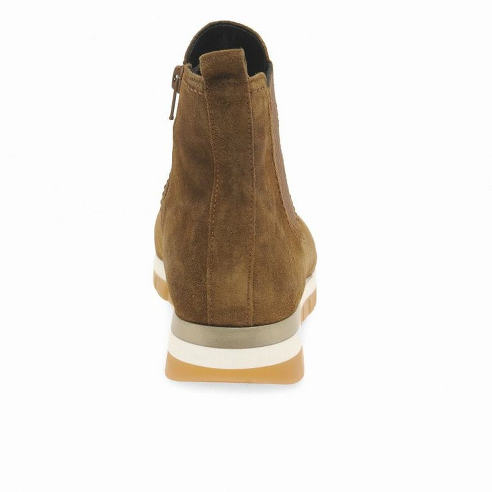 Brown Gabor Teller Women Ankle Boots | LYFG-83241