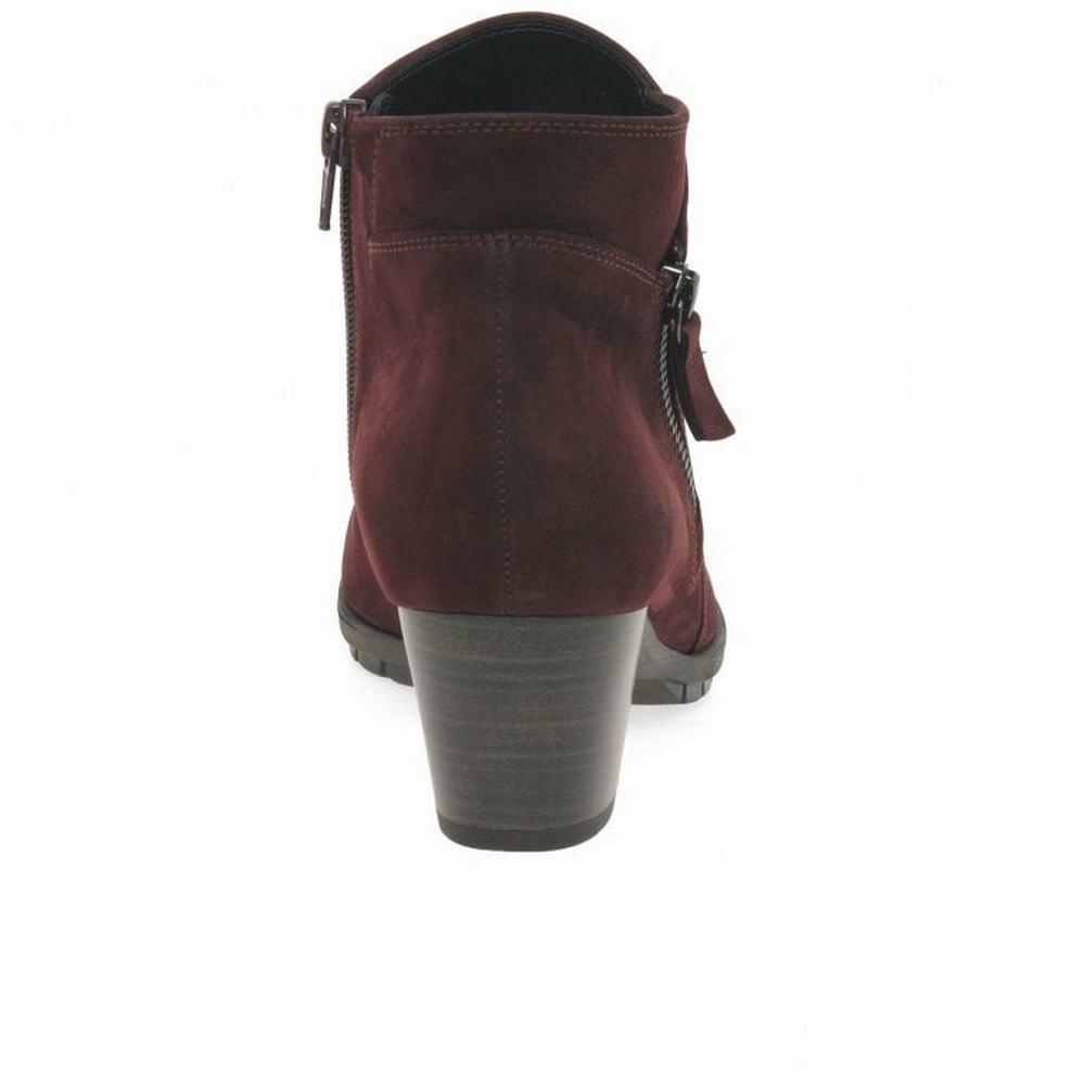 Dark Red Gabor Olivetti Zip Fastening Women Ankle Boots | QWNM-28365