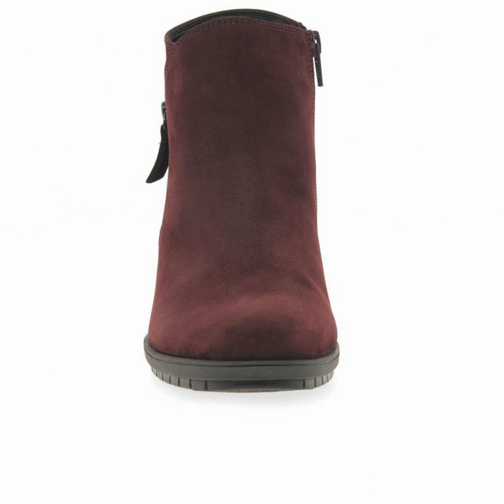 Dark Red Gabor Olivetti Zip Fastening Women Ankle Boots | QWNM-28365