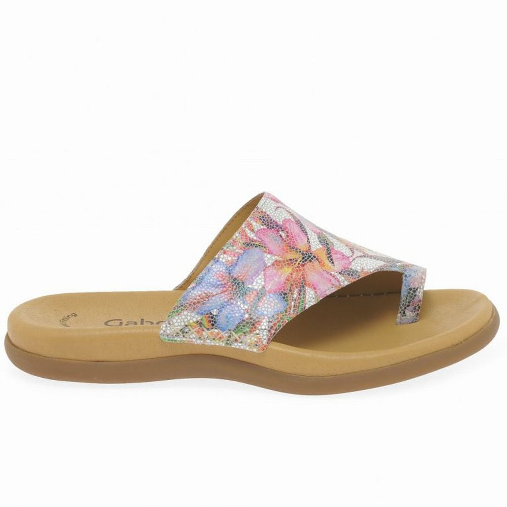 Flower Gabor Lanzarote Printed Toe Loop Women Mules | CVZU-06924