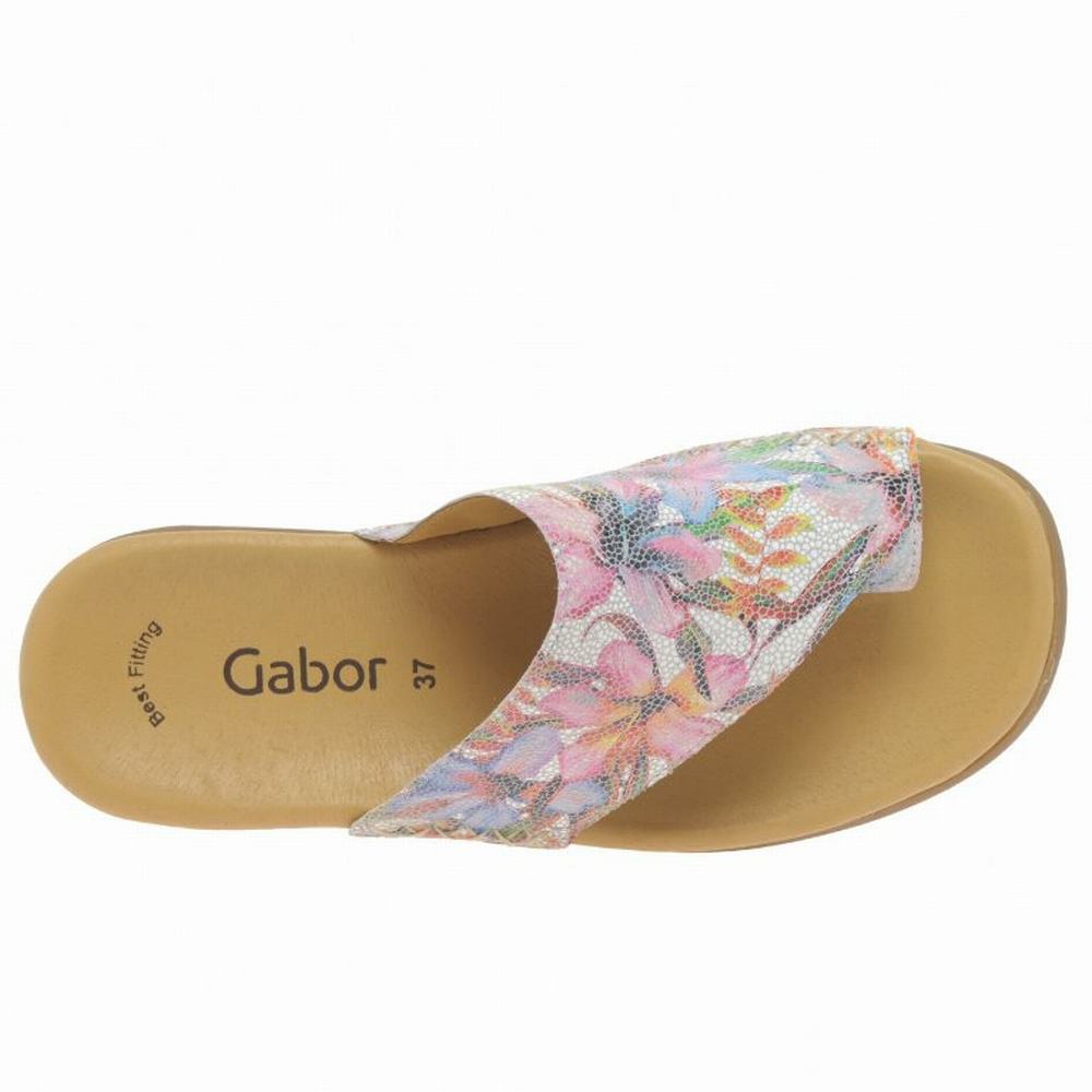 Flower Gabor Lanzarote Printed Toe Loop Women Mules | CVZU-06924