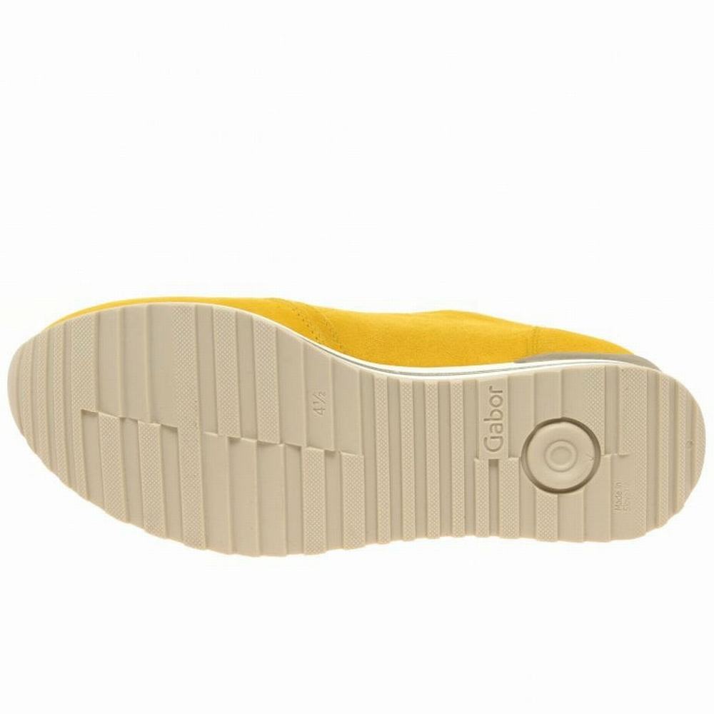 Mango / Metal Gabor Nulon Women Trainers | PUVC-52649