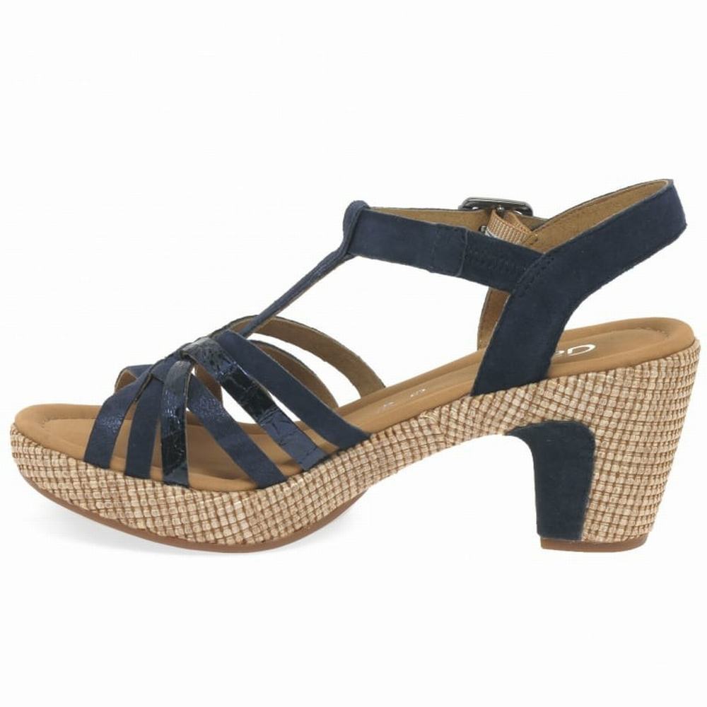 Snake Gabor Cheri Women Heeled Sandals | PYQI-76250